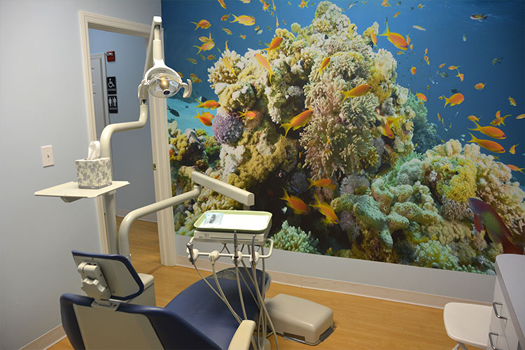 Children s Orthodontist in Saint James